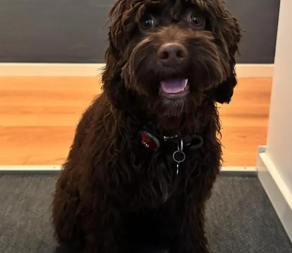 Отель Melfarhus